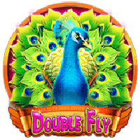 Double fly