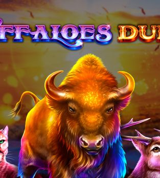Buffaloes Duel