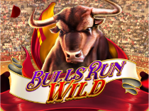 Dynamite Riches MW + PowerWheel