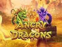 Angry Dogs