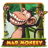 MadMonkey